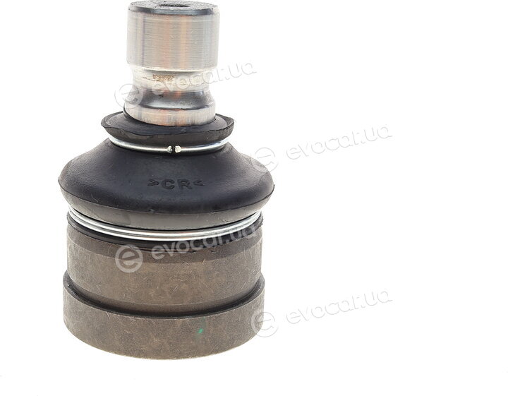 Solgy 203152