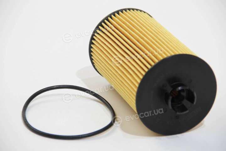 Mahle OX 161D
