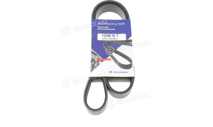 Hutchinson 1036 K 7