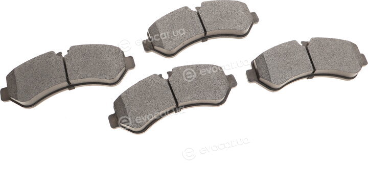 Solgy 209268