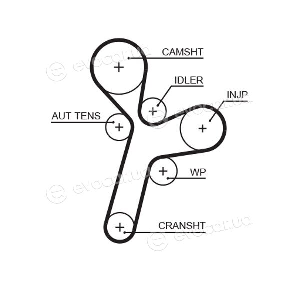 Gates K015634XS