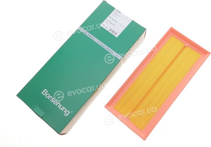 Borsehung B12403