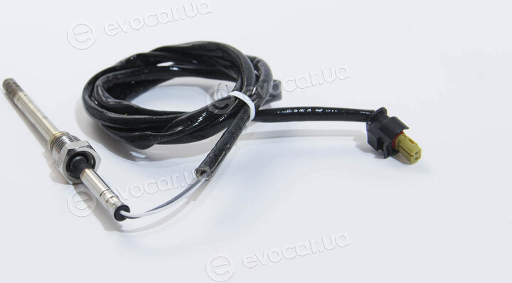 Facet 22.0055