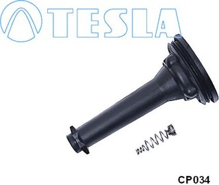 Tesla CP034