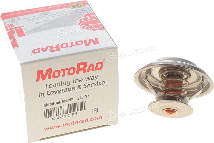 Motorad 24771