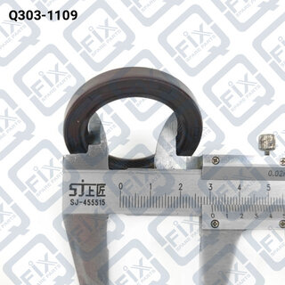 Q-Fix Q3031109