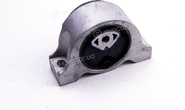 Metalcaucho / STC 04565