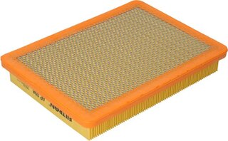 Filtron AP 098