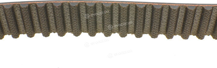 Continental CT1065K3
