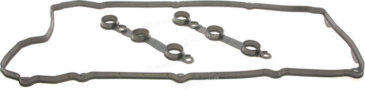 Elring 302.350