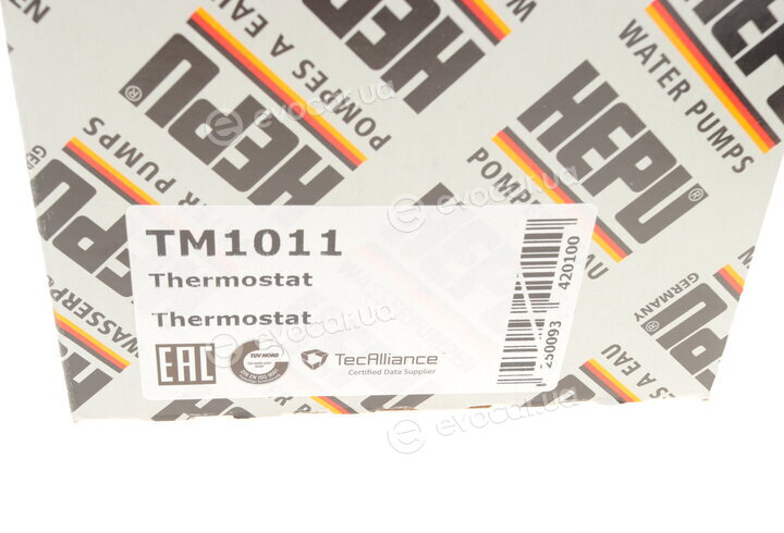 Hepu TM1011