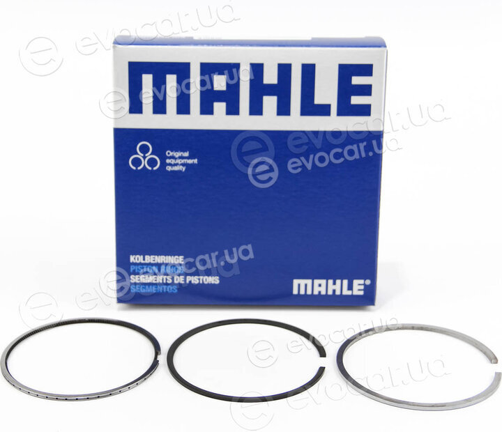 Mahle 010 04 N1