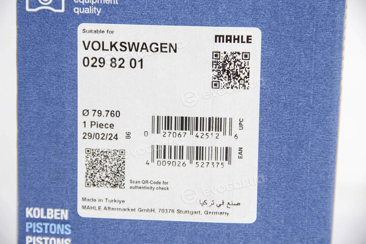Mahle 029 82 01