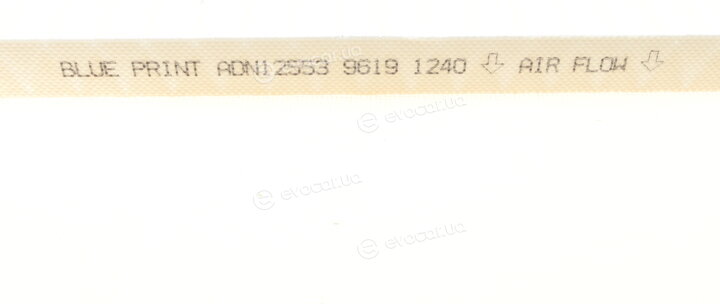 Blue Print ADN12553