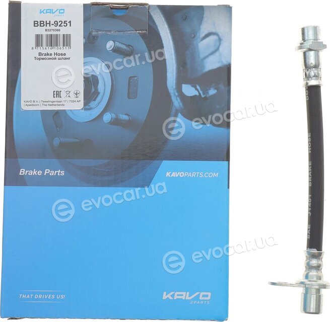 Kavo BBH-9251