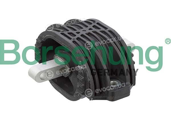 Borsehung B12636