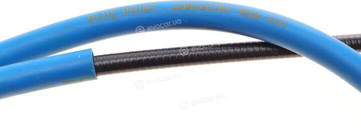 Blue Print ADN146289