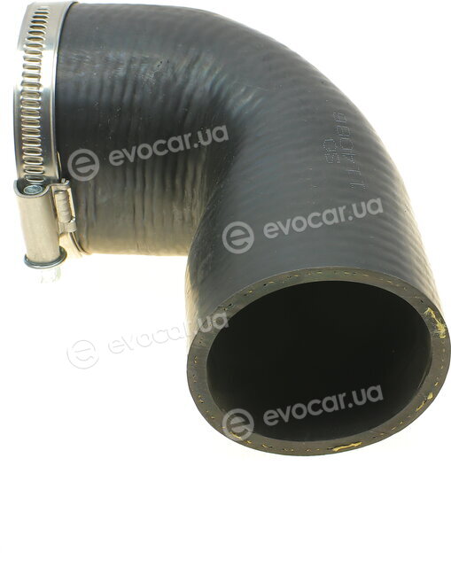 Solgy 114086