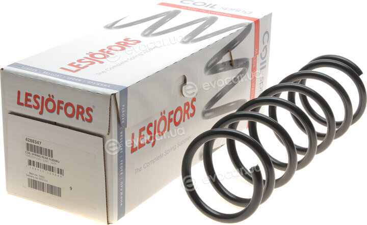 Lesjofors 4288347
