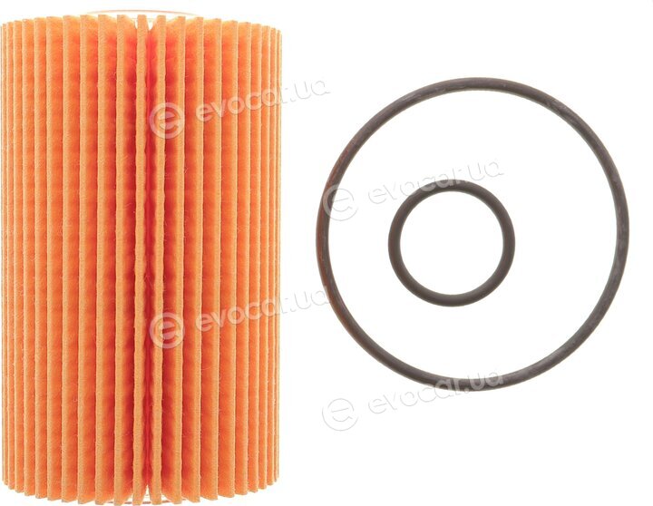 Solgy 101101