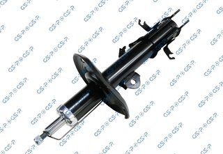 GSP 32307481
