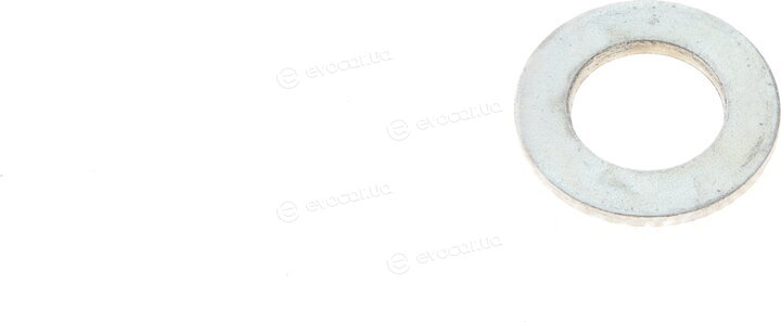 Solgy 203116