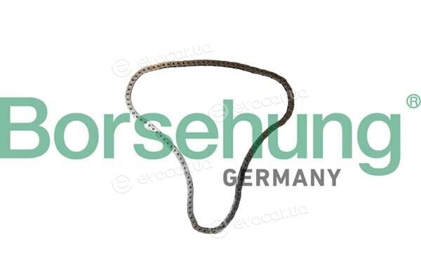Borsehung B12766
