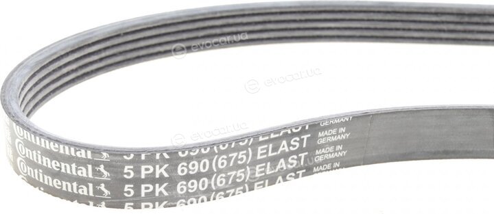 Continental 6PK1019 ELAST T1