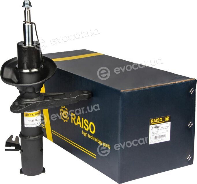 Raiso RS310021