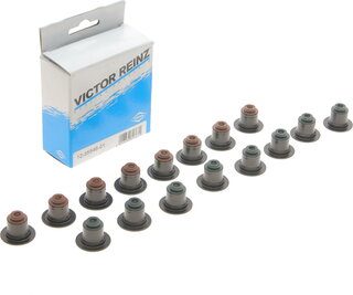 Victor Reinz 12-35546-01