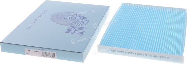 Blue Print ADN12548