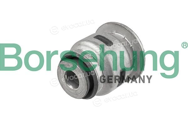 Borsehung B13182