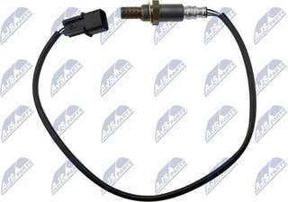 NTY ESL-MS-000