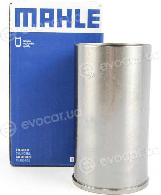 Mahle 029 WV 20 00