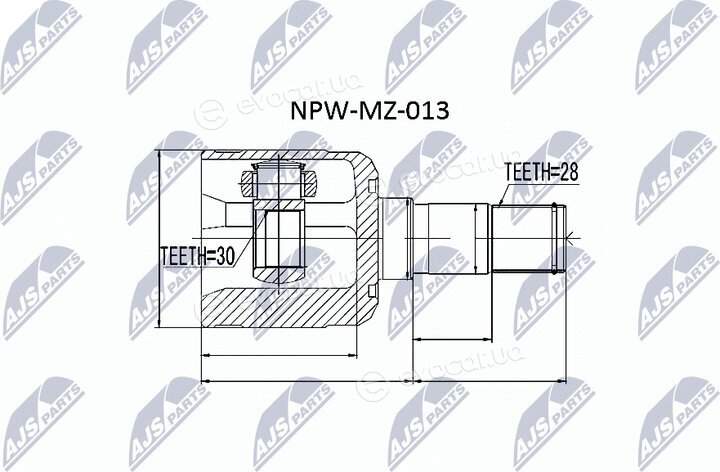 NTY NPW-MZ-013