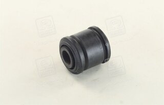 RBI T25301