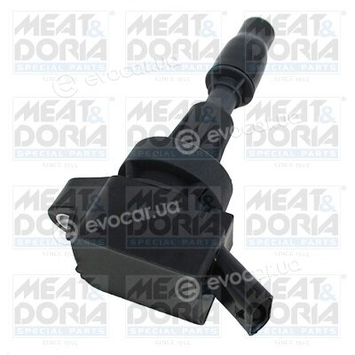 Meat & Doria 10825