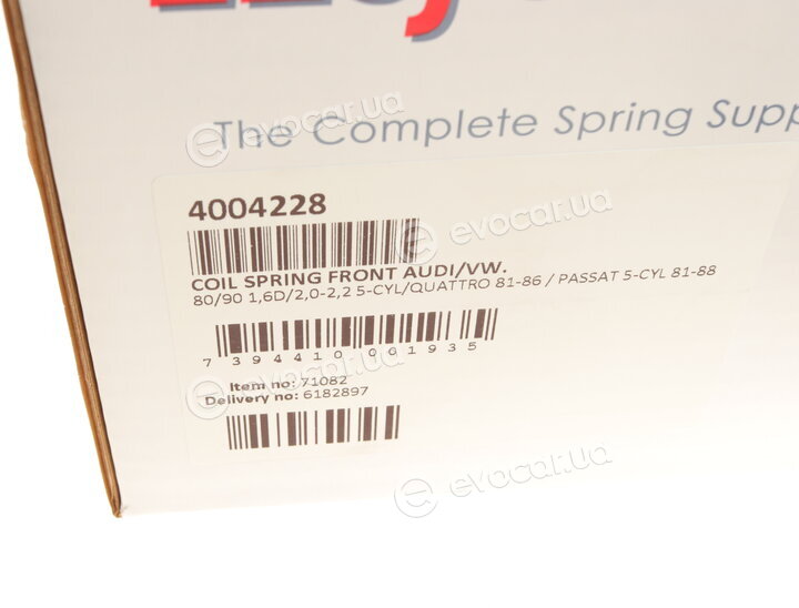 Lesjofors 4004228