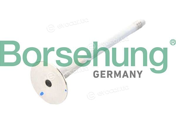 Borsehung B13245