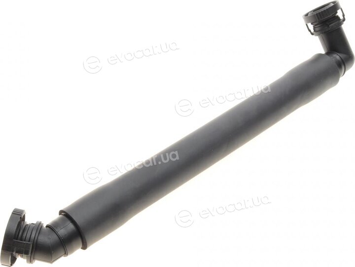 AIC 55080