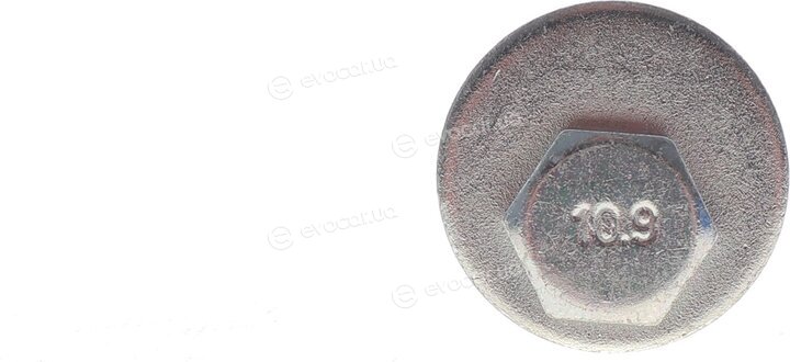 Solgy 204236