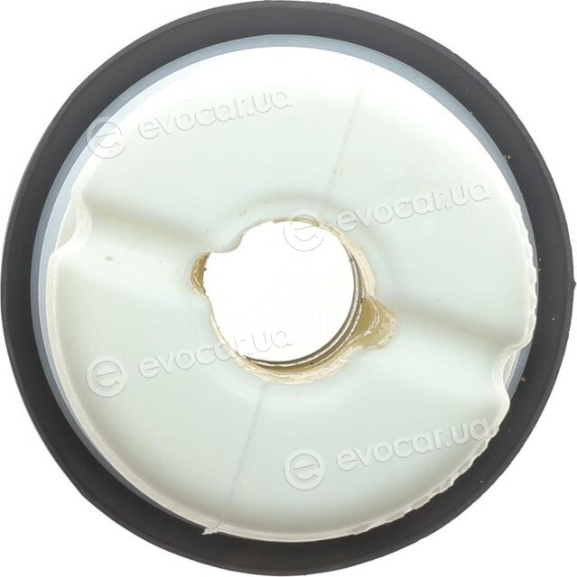 Renault / Nissan 540509166R