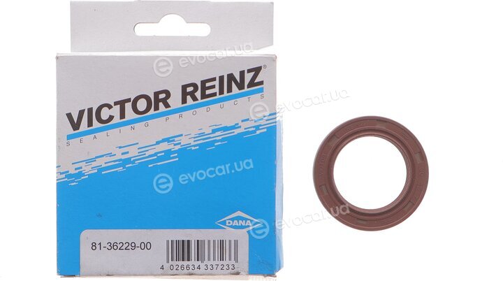 Victor Reinz 81-36229-00