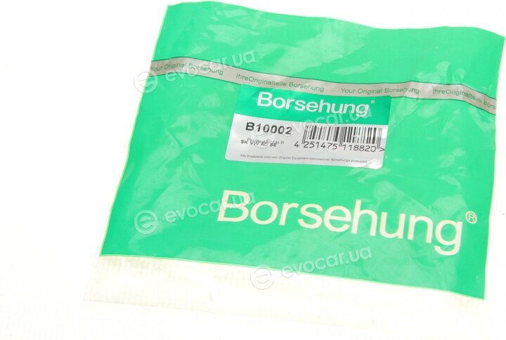 Borsehung B10002