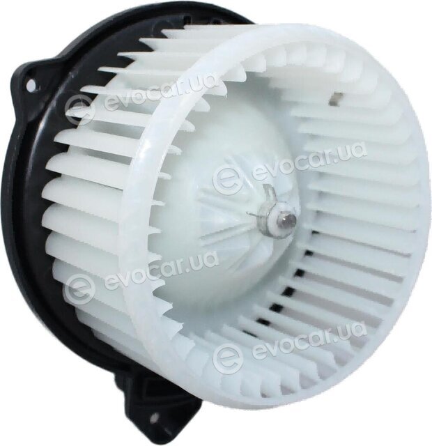 Walker / Fonos WBL01181