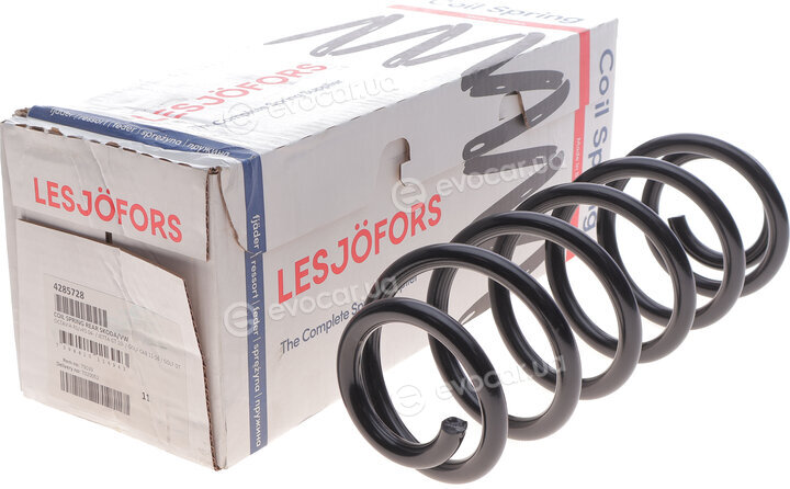 Lesjofors 4285728