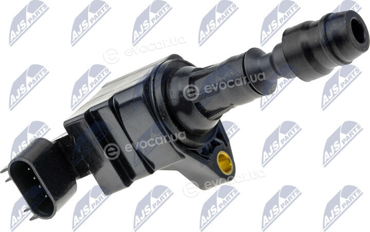 NTY ECZ-PL-010