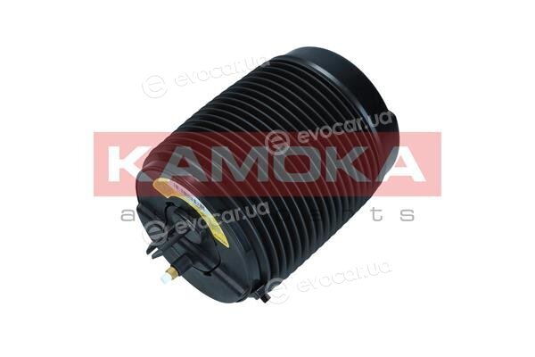Kamoka 2079068