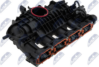 NTY BKS-VW-021