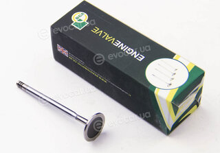 BGA V165060
